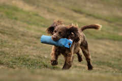 Dog & Field Ultra-light Marking Dummy