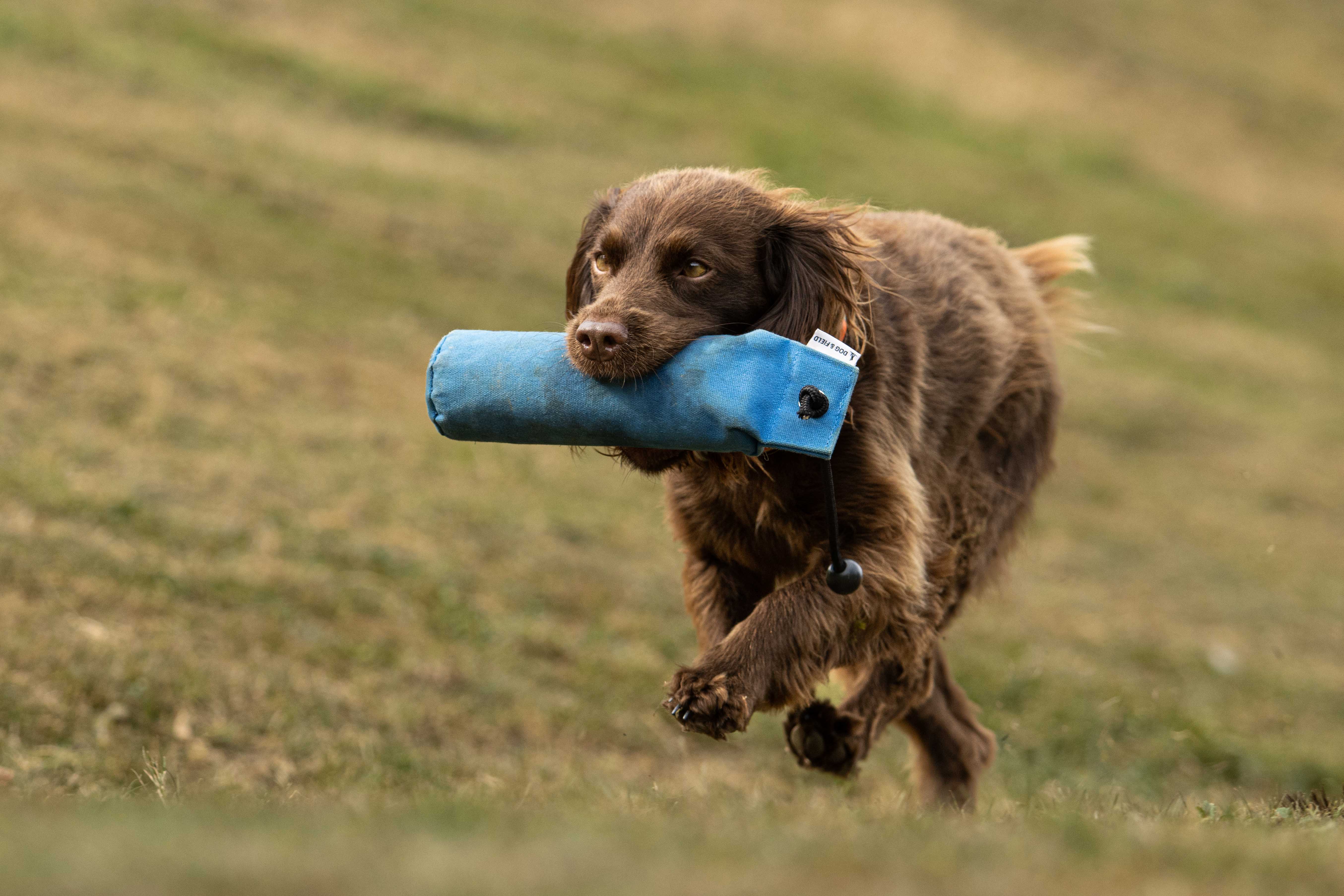 Dog & Field Ultra-light Marking Dummy