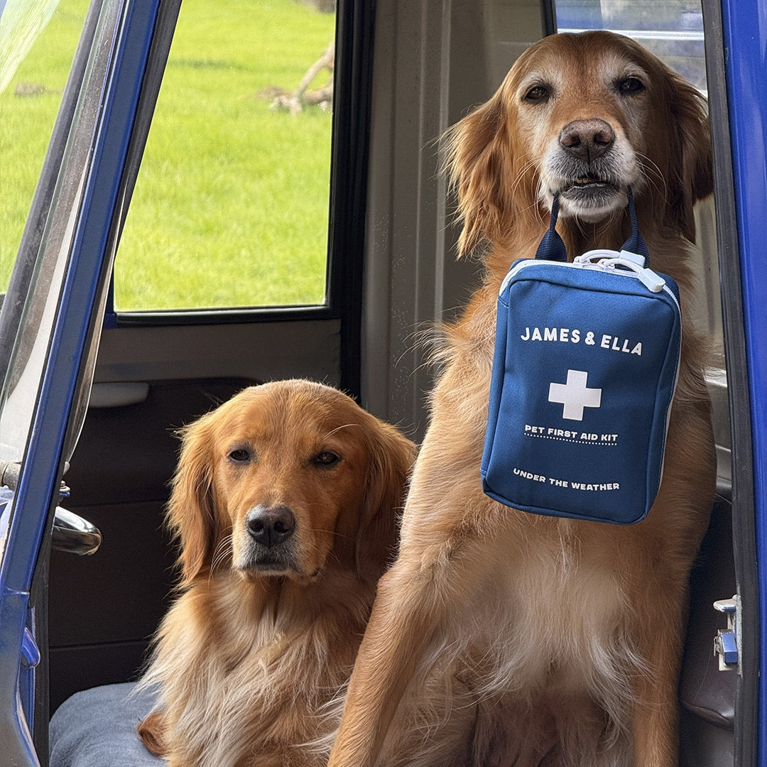 James & Ella Pet First Aid Kit