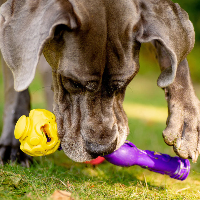 K9 Connectable Tech Bone