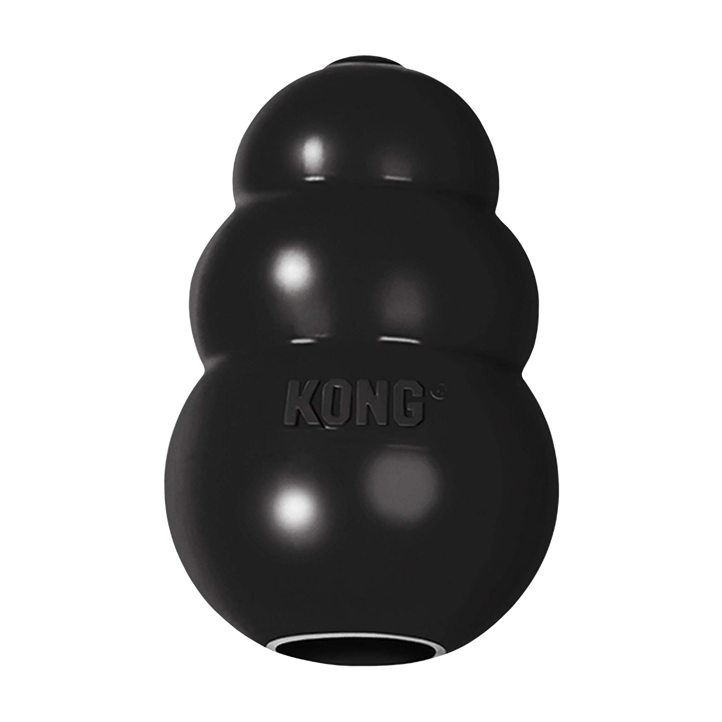 SGS Biothane Handled Throwing Ball