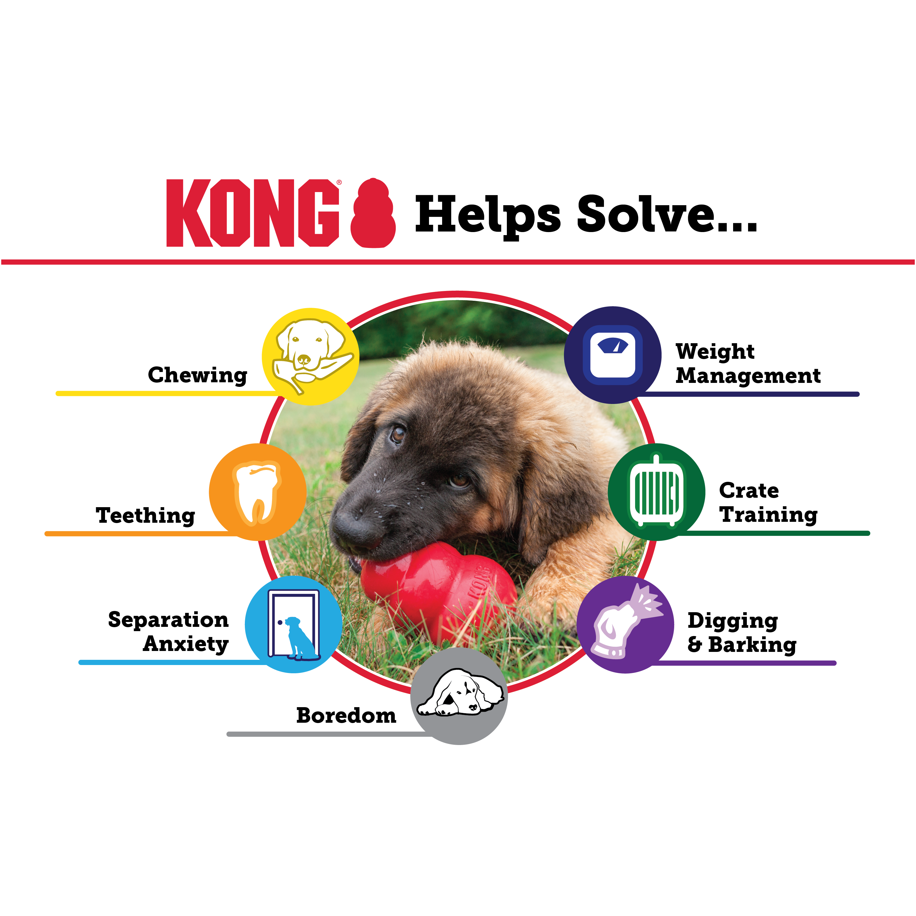 Kong The Original Puppy