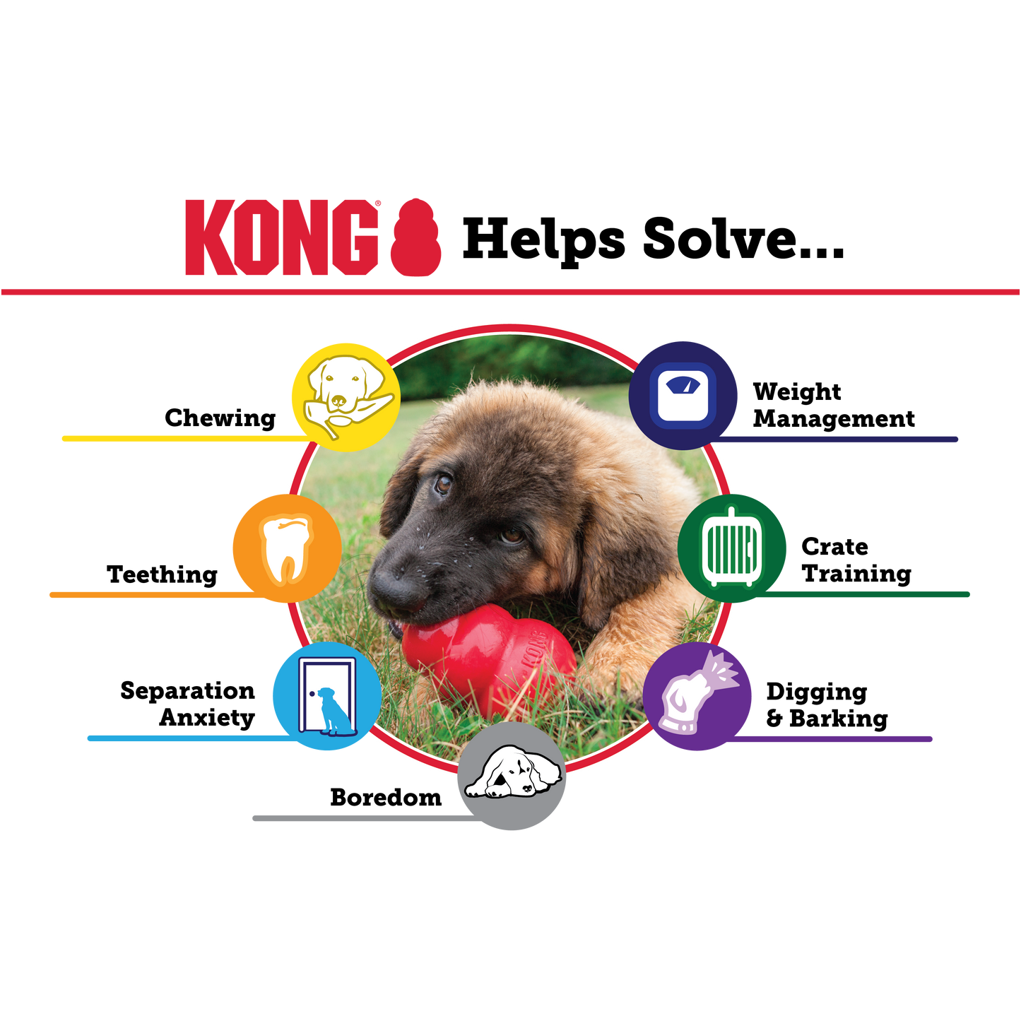 Kong The Original Puppy