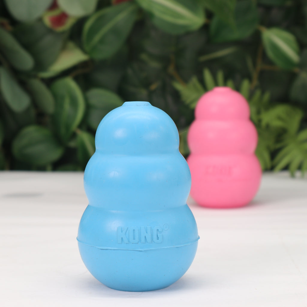 Kong — Sussex Gundog Supplies