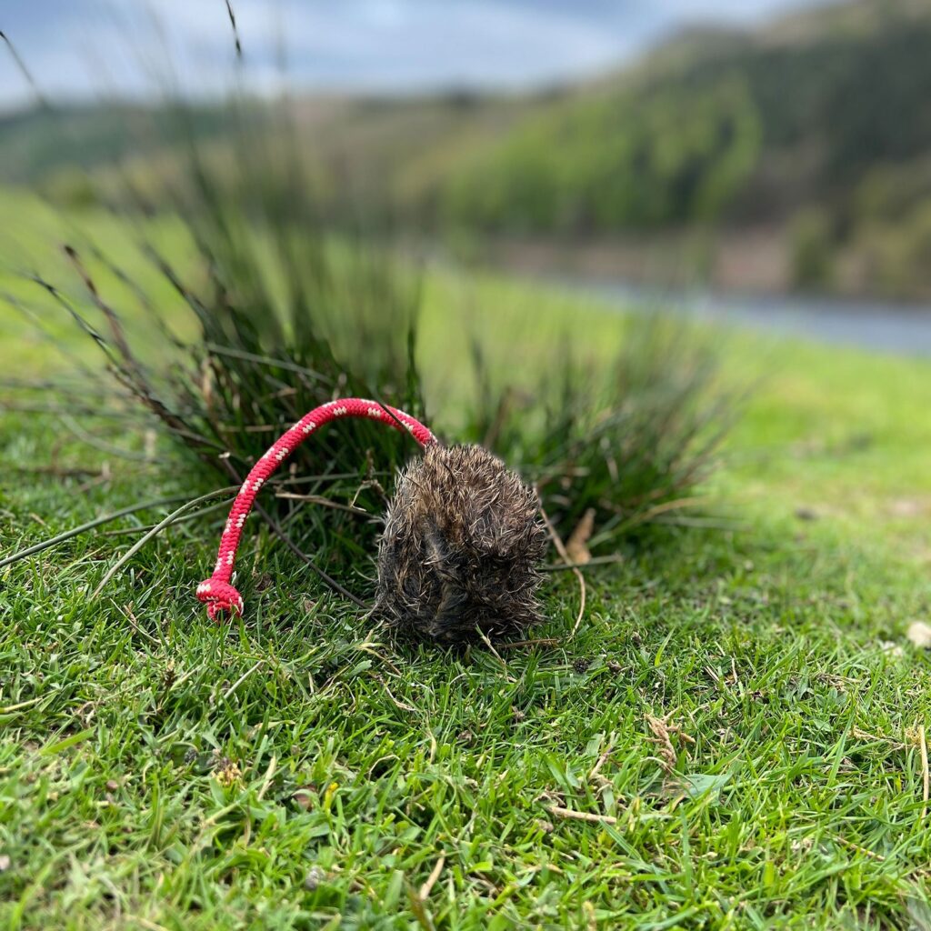 Throw A Rabbit Long throw Rabbit Balls | GunDog Training Gear SGS | Dog Hunting Balls ...