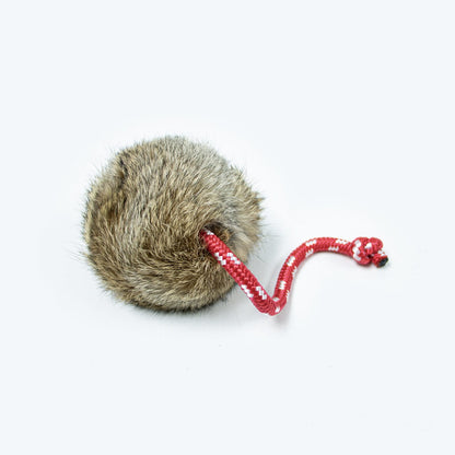 Long Throw Rabbit Ball