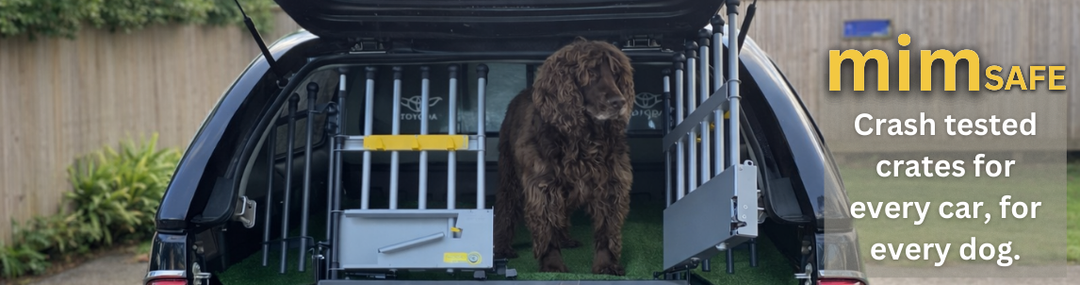 Mimsafe Crash Tested Crate At SGS