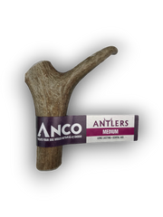 Anco Antlers