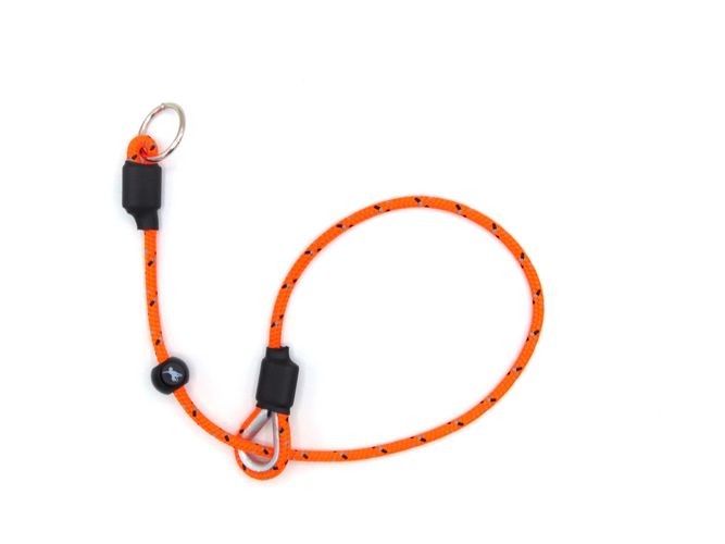 Sporting Saint Field Trial PRO Slip Collar