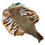 Partridge Pelt
