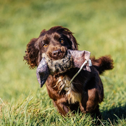 Dog & Field Original Clone Rabbit Dummy