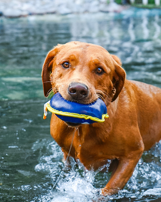 Nautical Floating Toy