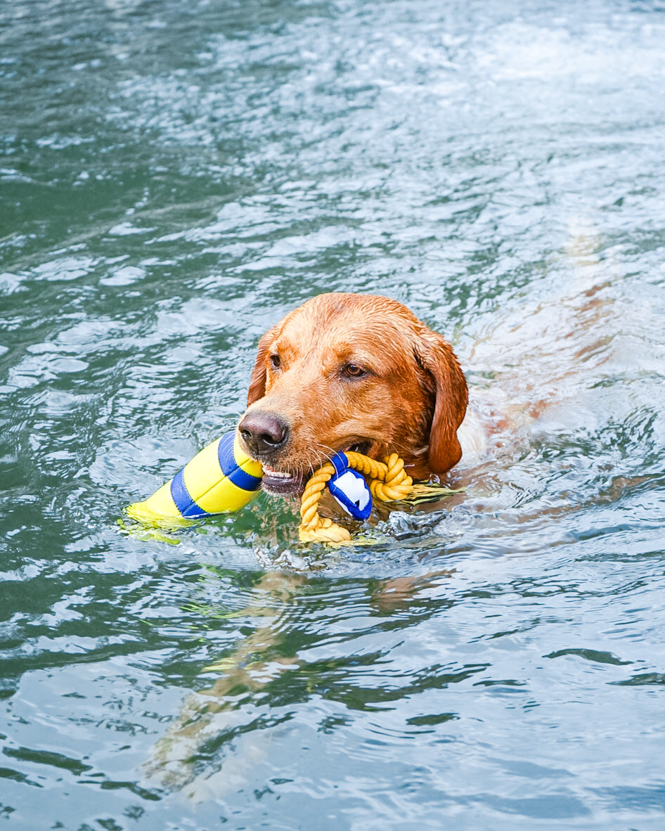 Diving Floating Toy