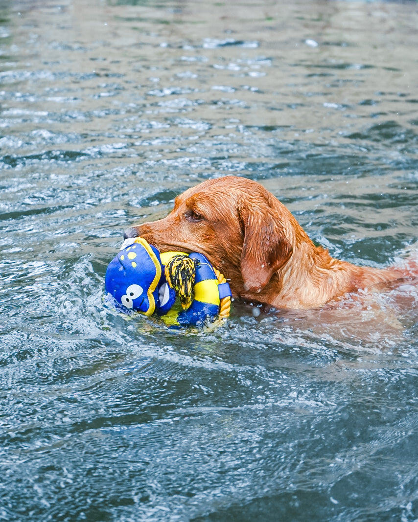 Nautical Floating Toy