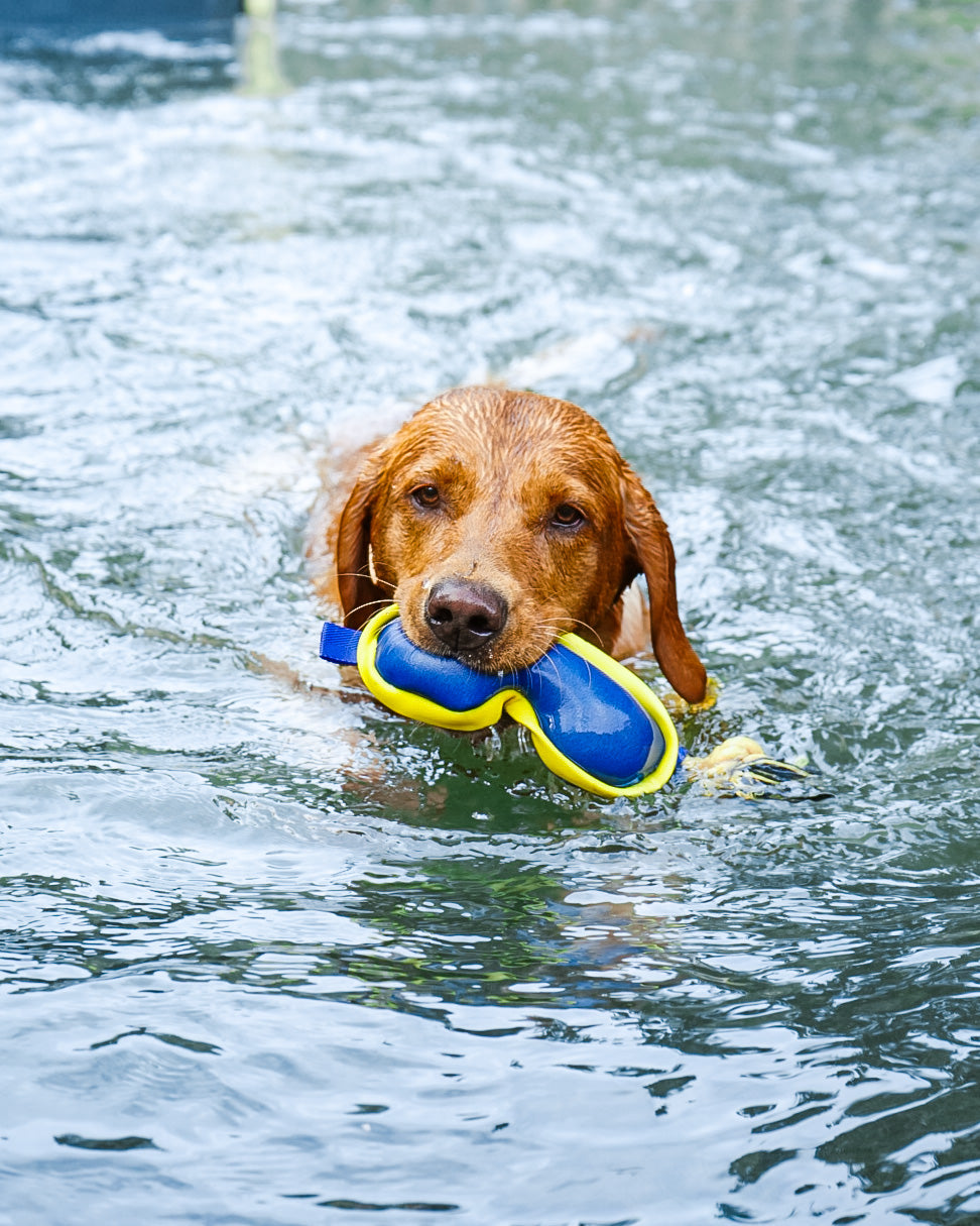 Diving Floating Toy