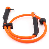 SGS Biothane Slip Collar + Clip (6mm)