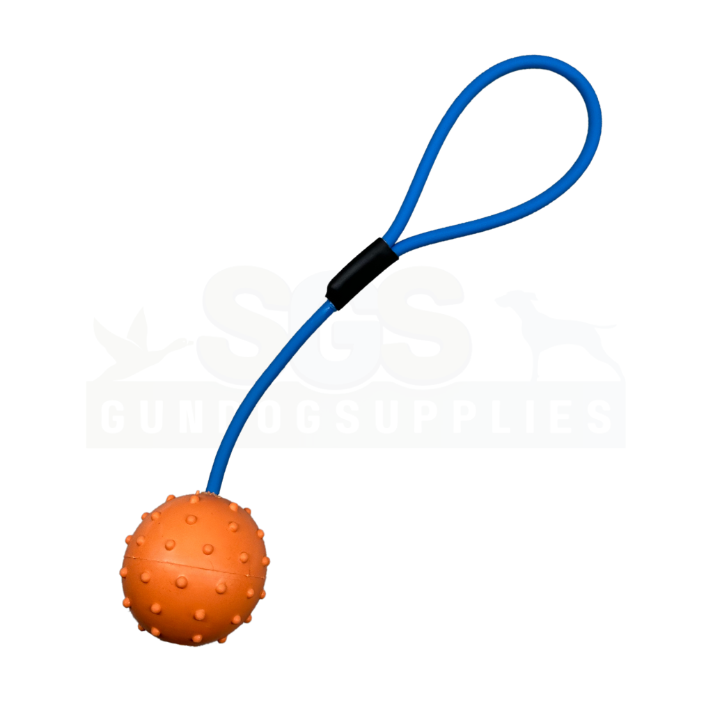 SGS Biothane Handled Throwing Ball