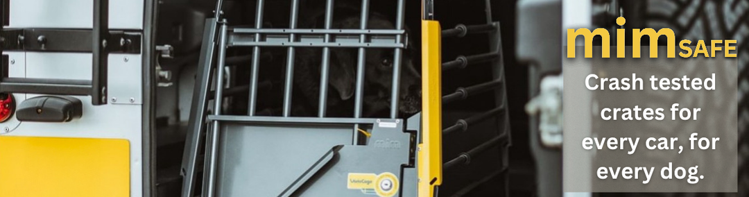 Mimsafe Crash Tested Crate At SGS