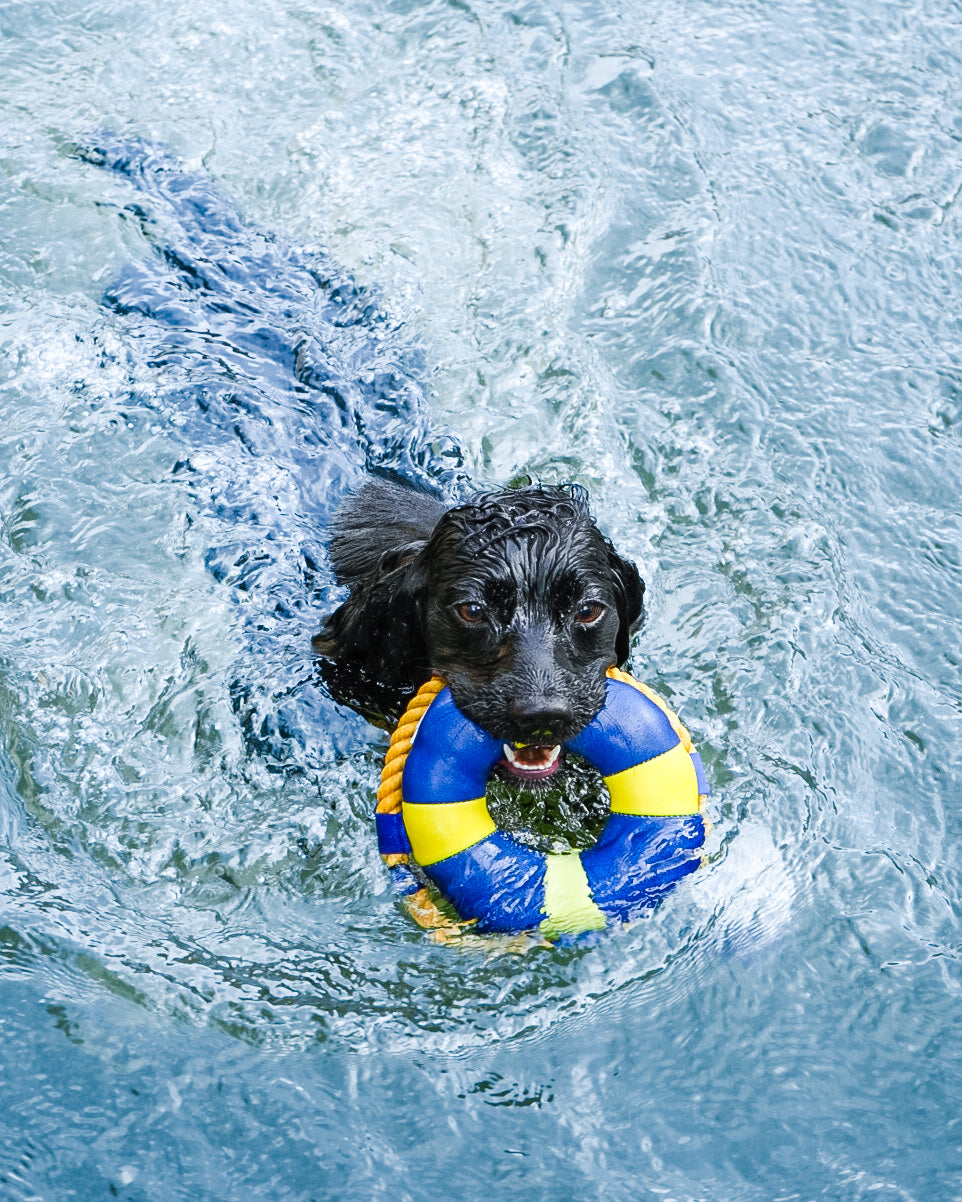 Diving Floating Toy