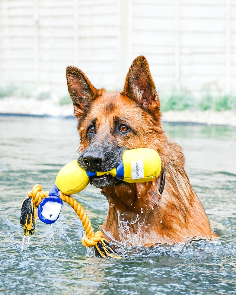 Diving Floating Toy