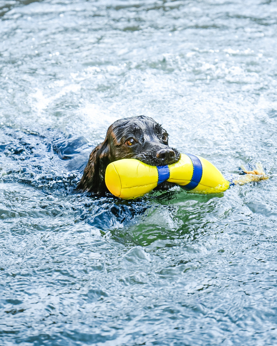 Diving Floating Toy