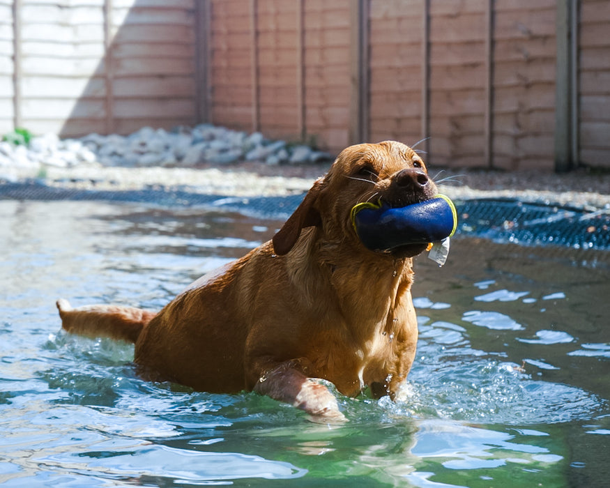 Nautical Floating Toy