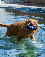 Nautical Floating Toy