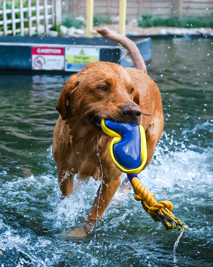 Diving Floating Toy