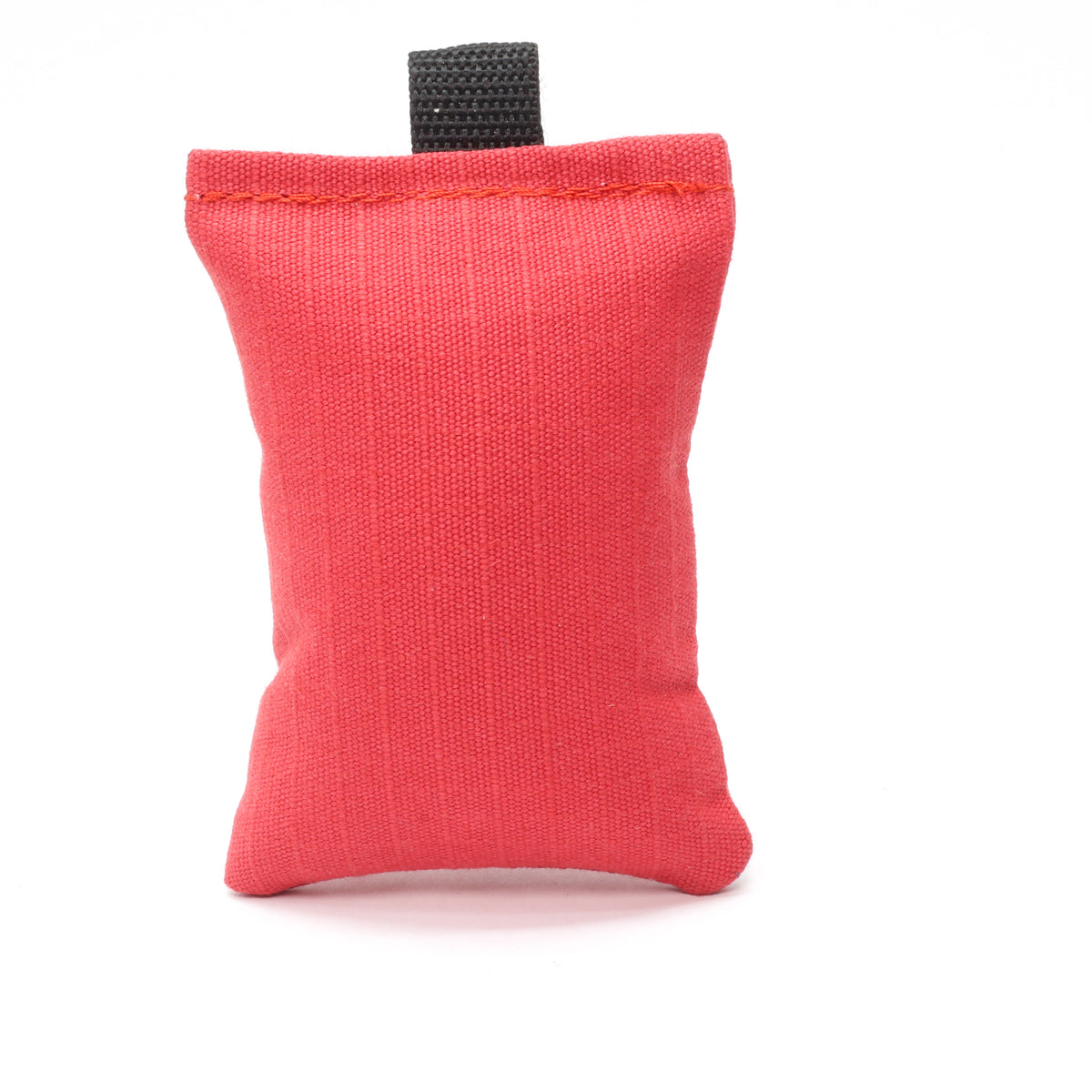 Sporting Saint Puppy Dummy