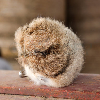 Rabbit Balls