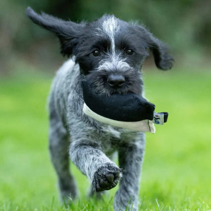 Sporting Saint Puppy Dummy