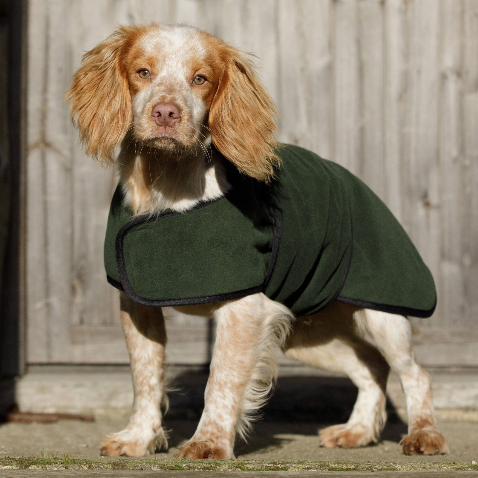 Dog & Field Dual Layer Drying Towel