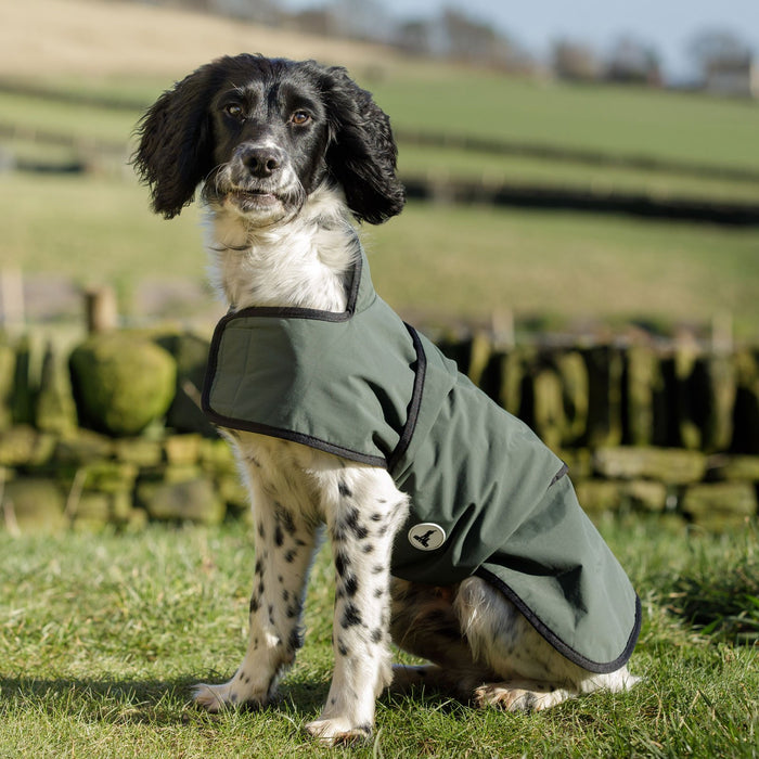 Dog & Field 2-in-1 Waterproof Drying Coat