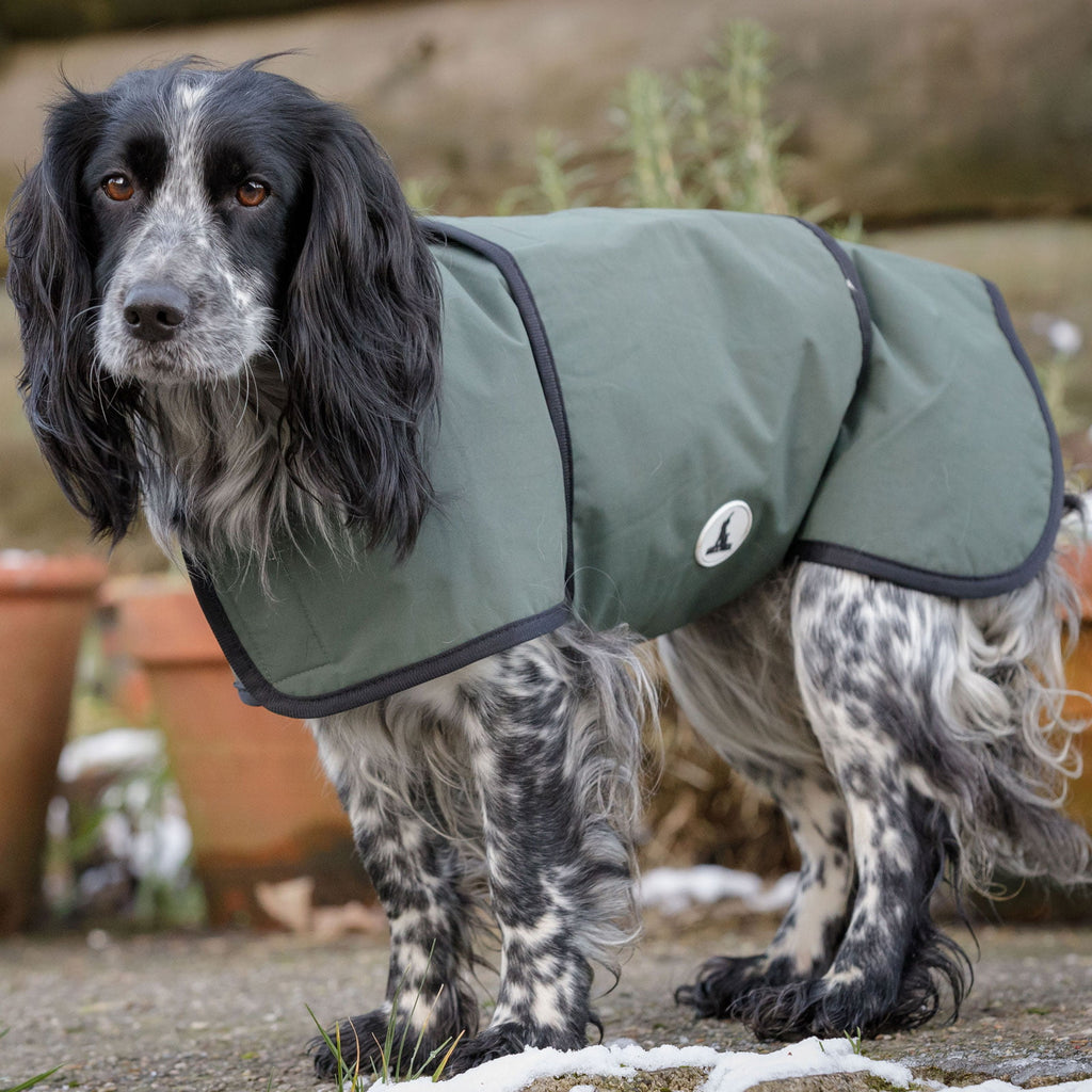 Dog & Field 2-in-1 Wasserdichter Hundemantel Größe XXL – Mit Mikrofaser-Innenfutter & Klettverschluss, Ideal Für Nasse Tage & Arbeit Im Feld