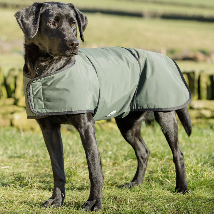 Dog & Field 2-in-1 Waterproof Drying Coat