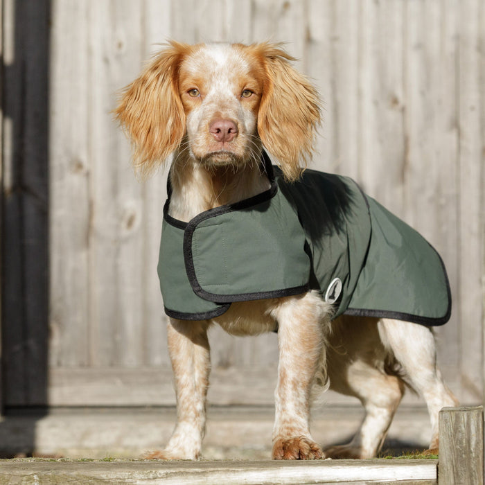 Dog & Field 2-in-1 Waterproof Drying Coat