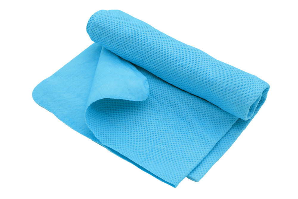 Cool 'N' Dry Shammy - Small
