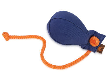 Firedog Throwing Ball