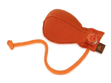 Firedog Throwing Ball