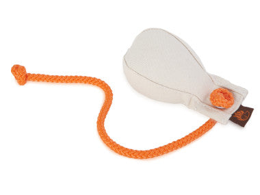 Firedog Throwing Ball
