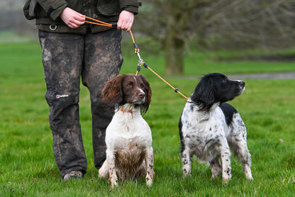 Sporting Saint Brace Slip Lead Set