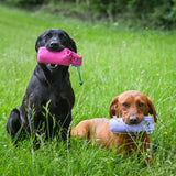 Sporting Saint 1/2lb Dummy