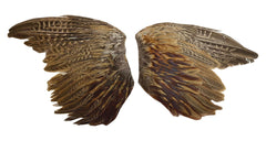 Pheasant Wing Pelt