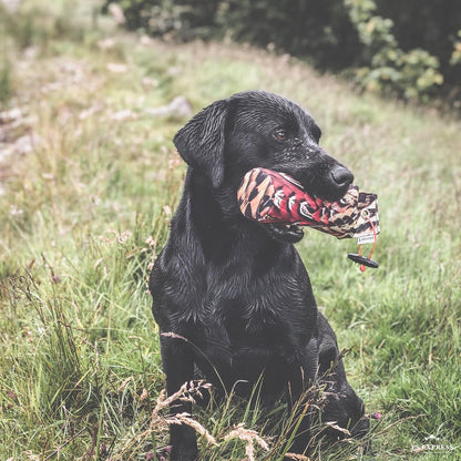 Dog & Field Pheasant 1lb Dummy