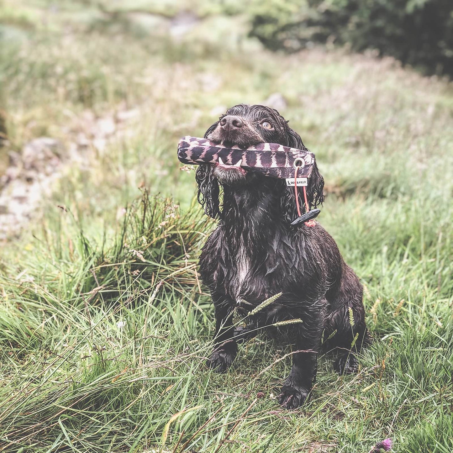 Dog & Field Snipe 100g Dummy