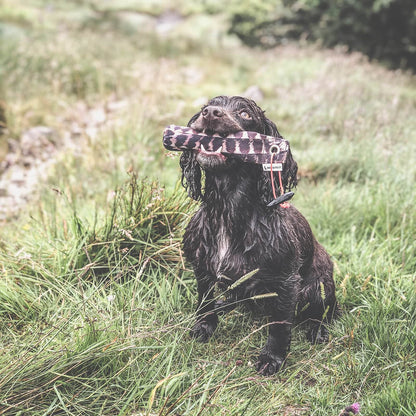 Dog & Field Snipe 100g Dummy
